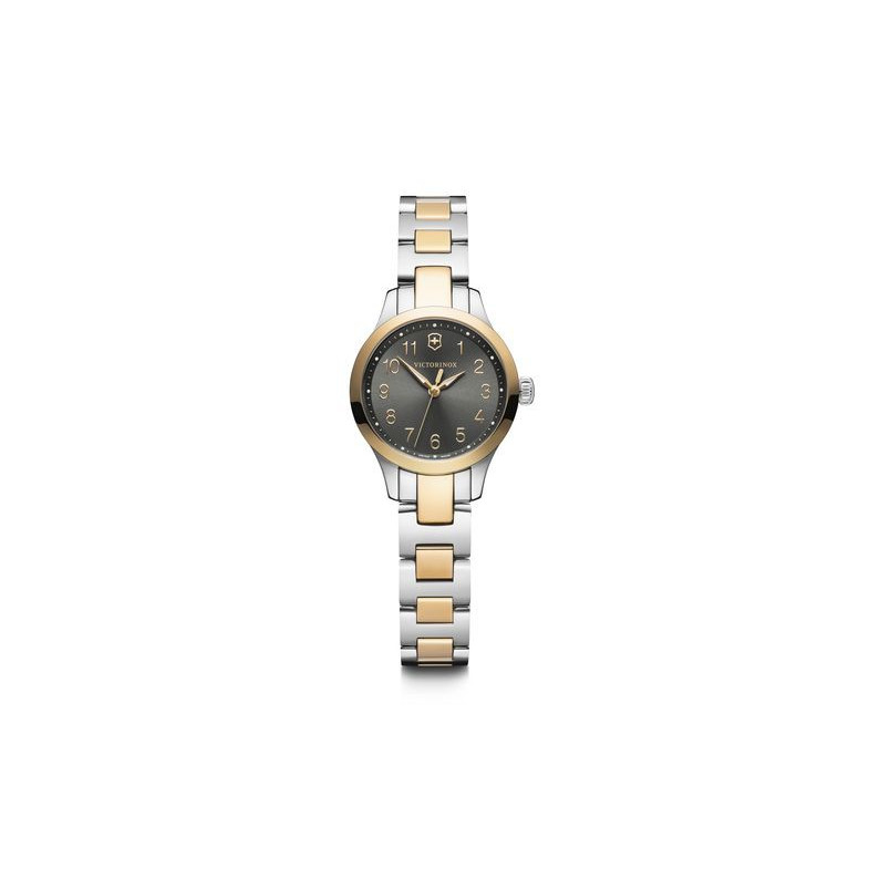 VICTORINOX ALLIANCE XS 241841