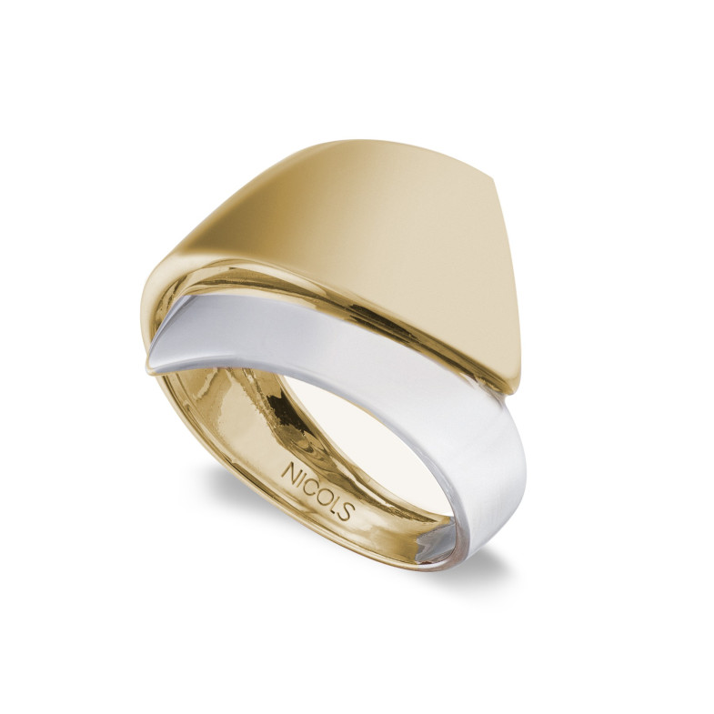 Anel de ouro Elegance Double Band Plane Picos Bicolor 35010030110
