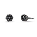 Earrings for Men